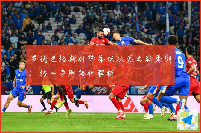 罗德里格斯对阵拳坛从无名新秀到：格斗争胜路径解析