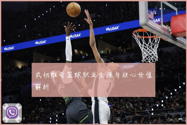武切维奇篮球职业生涯与核心价值解析